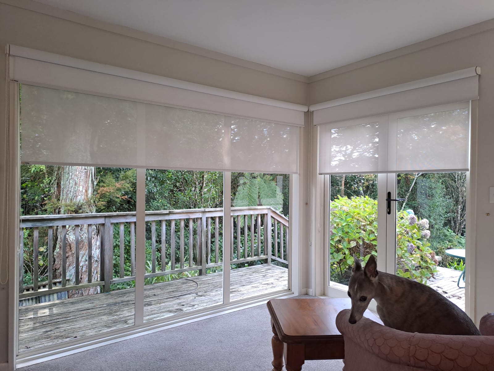 WhatsApp Image 2025-04-30 at 1.08.25 PM modn living blinds
